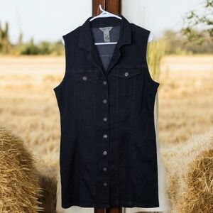 Indigo Rein Classic Blue Denim Dress
